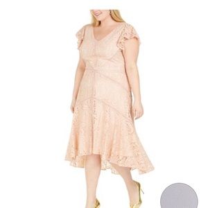 Taylor Dresses NWT 18w pink lace midi